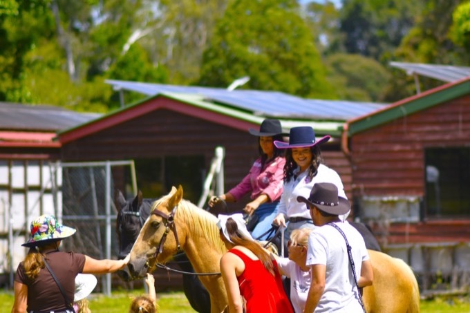 Horse & Pony Rides