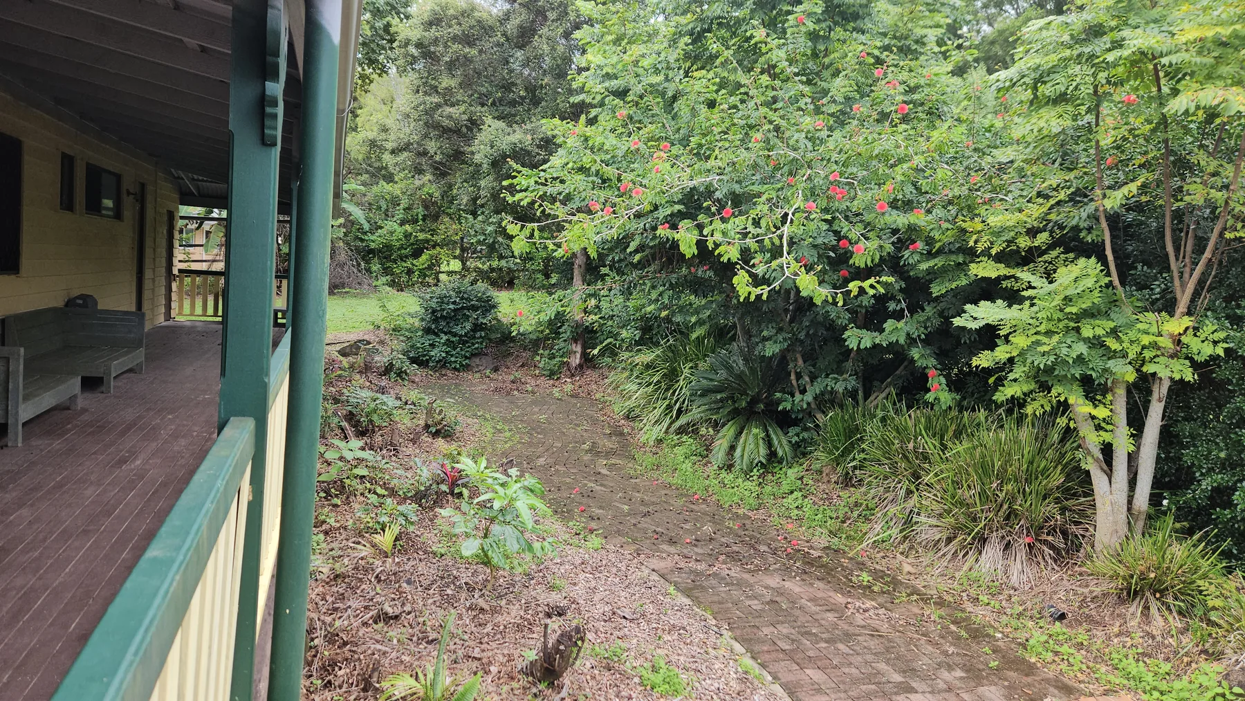 A brick path beside the verandah under a flowering tree