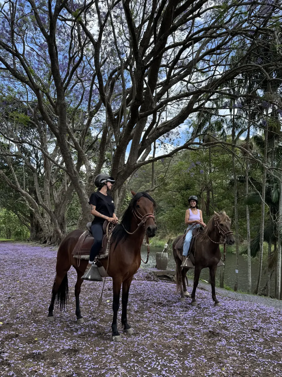 Guided encounters with the gentle Paso horses