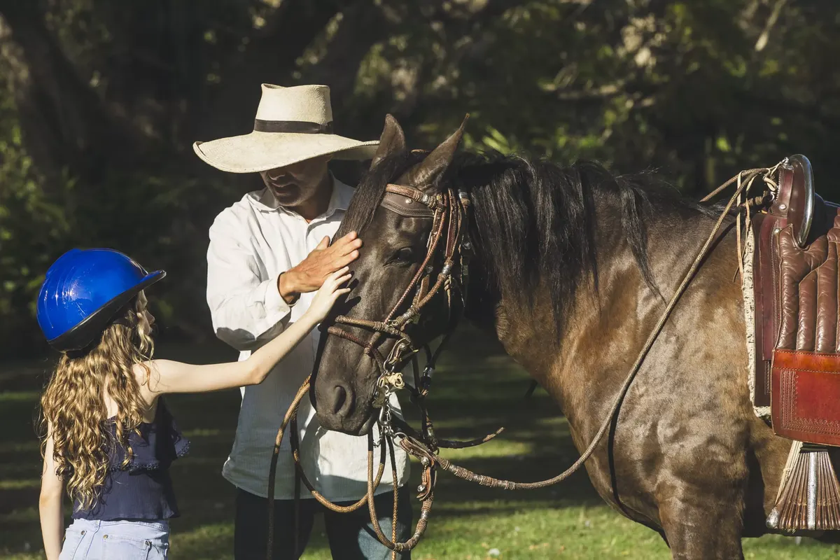 A child in a riding helmet touching the face of a Peruvian Paso horse held by its handler