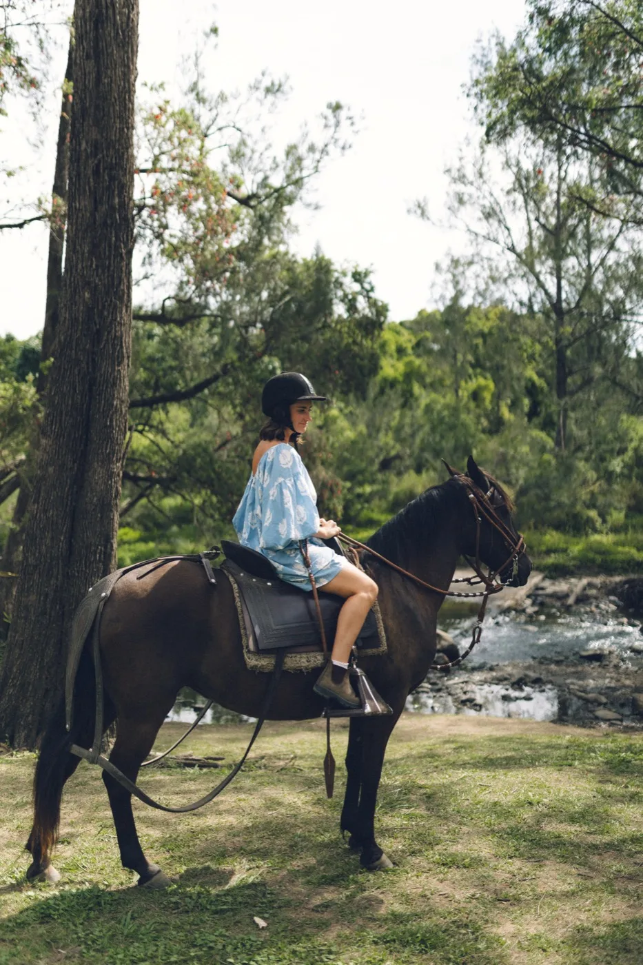 A private riding lesson on a Peruvian Paso horse